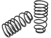 Rear Coil Spring Set For 1995-1999, 2001-2005 Chevy Monte Carlo 1996 BX237TF