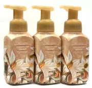 3 BATH & BODY WORKS GARDEN TEA COOKIE GENTLE FOAMING HAND SOAP FRESH CRANBERRY