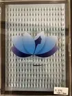 Xl 0.07C Volume Pre-made Pointy Eyelash Extensions. 10D-14mm 16 rows of 20 prema