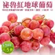 【WANG 蔬果】秘魯紅地球葡萄(5盒_500g/盒)