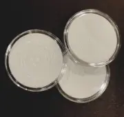2X Plastic Coin Display Cases Capsules Holder Clear Plastic