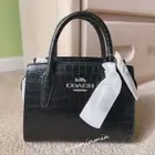 NWT Coach (CR209) Andrea Mini Carryall Bag