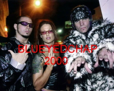 MATT & JEFF HARDY & LITA WRESTLER 8 X 10 WRESTLING PHOTO WWF ECW