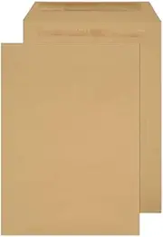 Blake Purely Everyday C3 450 x 324 mm Pocket Self Seal Envelope - Manilla (Pack of 125)
