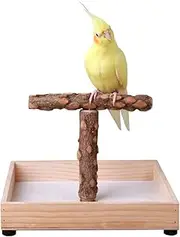 KinTor Bird Stand Tabletop,Portable Tee Stand, Parrot Play Stand Perch Gym for Small Medium Parrot