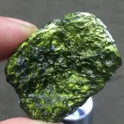 59Ct Moldavite Genuine Raw Moldavite Crystal from Czech Republic PICcertificate