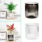 Visible Water Level Self Watering Planter Pots Lazy Succulent Plant Pot