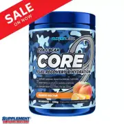 Faction Labs CORE 9 - EAA Plus BCAA