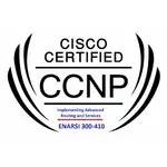CISCO CCNP 300-410 ENARSI 題庫