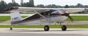 Murphy Rebel Elite Aircraft Airplane Desktop Kiln Dry Wood Model Free Shipping