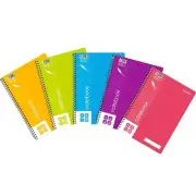 NEW 5x Quill Notebook 70gsm PP Cover 120 Pages A4 Assorted Colours Pack BULK