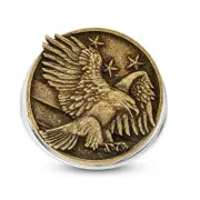 Men's Flying Eagle Antique-Finished Signet Ring in Sterling Silver and Bronze
