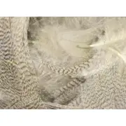 Hareline Dubbin - Big Pack Mallard Flank