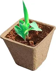 Peat Pots - Small Seedling Peat Pots,Outdoor Nursery Tray, Flower Germination Starter, Vegetable Growing Tools for Yard Lawn Garden Tomato Saplings