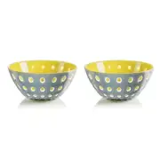 Guzzini Le Murrine Set of 2 5" Bowls, Gray/Yellow (279412141)