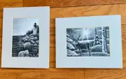 2 Drawings Of WILD BUCK and LIGHTHOUSE Graphite Pencil Art Picture Prints Matted