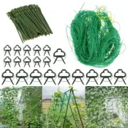 Garden Green Nylon Vine Trellis Climbing Crops Support Netting Bean Nets qiDRI
