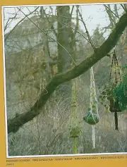 Easy Plant Hanger Patterns Macrame with Elefant Cord Featuring Fern Dangles