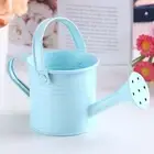 Handle Kettle Lightweight Spray Water Candy-colored Mini Plant Pot Kettle