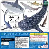 在飛比找蝦皮購物優惠-IKIMON NTC生物圖鑑 鯊魚 6款一組 扭蛋玩具