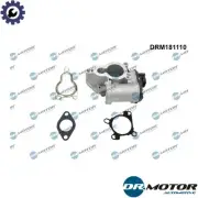 EGR VALVE DRM181110 FOR RENAULT KOLEOS/II MASTER/III/Van/Platform/Chassis/Bus