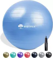 25.5″ (65cm) Yoga Ball Exercise Core Stability Strength Anti-Burst Blue