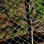 Nylon Netting for Gardening, Heavy Duty Bird Netting for Plants/Fruit Trees/Greenhouse/Chicken, White Plastic Garden Fencing Animal Barrier (20X20M/65.6X65.6Ft)