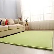 Living Room Home Decor Coral Fleece Area Rug,Modern Nursery Washable Kids Bedroom Rug,Girls Boys Soft Non-Slip Soft Mat,2cm Thick Kids Carpet-J- 120 * 250cm