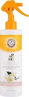 Arm & Hammer Ultra Fresh Waterless Bath Spray with Cucumber & White Tea