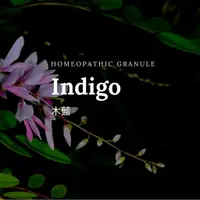 在飛比找蝦皮購物優惠-順勢糖球【木藍●Indigo】傳導網絡／悲傷不安／太陽神經叢