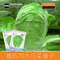 在飛比找蝦皮購物優惠-🌿鳳鳴🌱豐抗70大白菜種子秋季山東白菜籽鼕儲耐熱蔬菜種籽菜籽