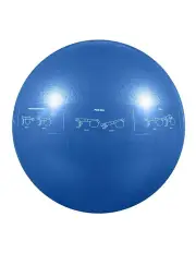 [Gofiit] Proball Blue 55cm Stability Ball