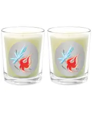 Qualitas Candles Fire & Ice Two Scented Beeswax Candle Set