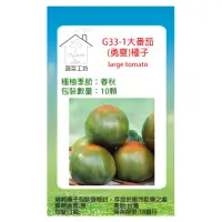 在飛比找momo購物網優惠-【蔬菜工坊】G33-1大番茄種子(勇夏)