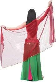 Lopsity Belly Dance Hand Scarves Belly Dance Costume Outfit Hip Scarf Sequin ...