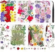 180Pcs Dried Pressed Flowers Resin Mould Real Pressed Flowers Natural Dry Leaves Bulk Mixed Colorful Herbs Kit with Tweezers for Scrapbooking DIY Candle Jewelry Crafts Making Nails (Bright Color)
