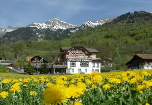 霍夫斯特滕 AG 高山玫瑰客棧