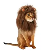 Cat Lion Mane Wig, Size M (Coffee)