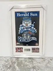 GEELONG CATS Premiership Team 2022 Limited Edition Foiled Mark Knight Print