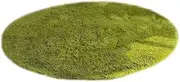 Round Rug Fluffy Rug Circular Rug Round Furry Rug Fluffy Rug Fuzzy Plush Carpet for Bedroom Nursery Room Kids Room Dorm Green