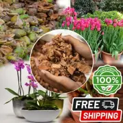 Natural Coconut Husk Chips Organic Media Fiber Dried Orchids Anthurium Growing