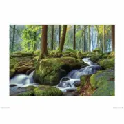 Lars van de Goor - The Whale And The Rivulet ART PRINT Poster 60x80cm NEW