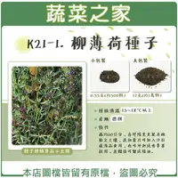 在飛比找樂天市場購物網優惠-【蔬菜之家】K21-1.柳薄荷種子(神香草.海壽花)(共兩種