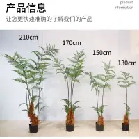 在飛比找蝦皮購物優惠-仿真花 朔料花 假花 裝飾花 北歐仿真植物猴頭蕨室內綠植櫥窗