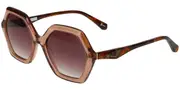 Ted Baker TB1736 100 Men's Sunglasses Brown Size 52