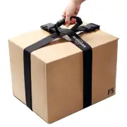 ECOSHIRE Box Carrying Strap with Handle, Handheld Belt for Safely Moving and ...