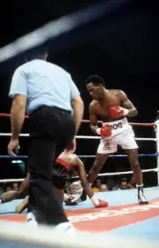 Donald Curry Knocks Out Carlos Santos Old Boxing Photo