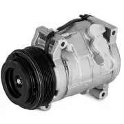 10S20C A/C Compressor 6 Grv 12v