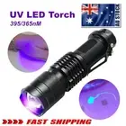 UV Ultra Violet LED Flashlight Blacklight Light 395/365 nM Inspection Lamp TorZR
