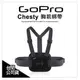 【台閔公司貨】GoPro 原廠配件 Chesty 胸前綁帶 束帶 胸前固定帶 綁帶 AGCHM-001